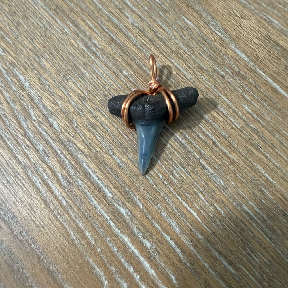 Fossil Shark Tooth Copper Wrapped Pendant